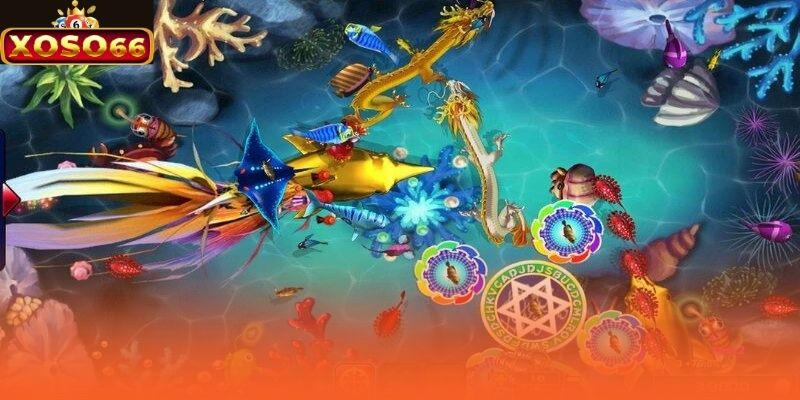 Tham gia bắn cá trực tuyến nên chú ý ngân sách