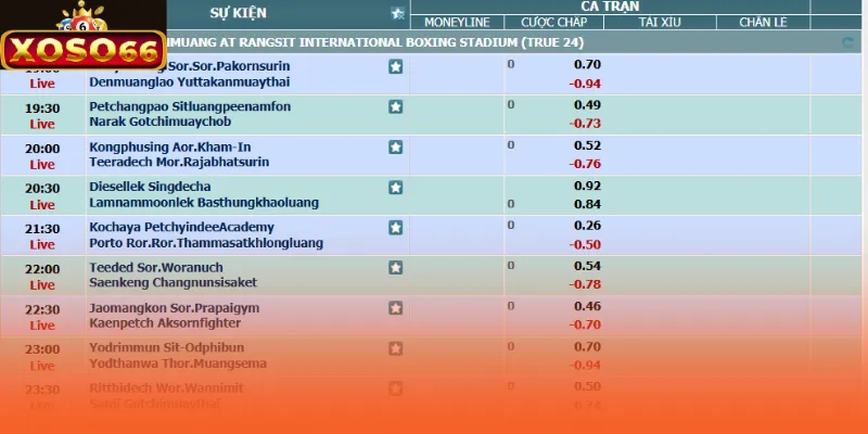 Vai trò quan trọng của tin soi kèo với người chơi cược bóng đá