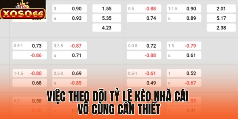Việc theo dõi tỷ lệ kèo nhà cái vô cùng cần thiết